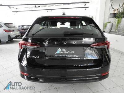 Skoda Octavia Gebrauchtwagen Skoda Octavia Gebrauchtwagen