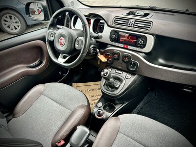 Fiat Panda Gebrauchtwagen