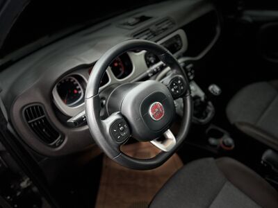 Fiat Panda Gebrauchtwagen