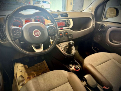Fiat Panda Gebrauchtwagen Fiat Panda Gebrauchtwagen