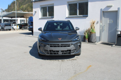 Cupra Terramar Gebrauchtwagen