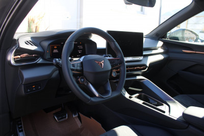 Cupra Terramar Gebrauchtwagen