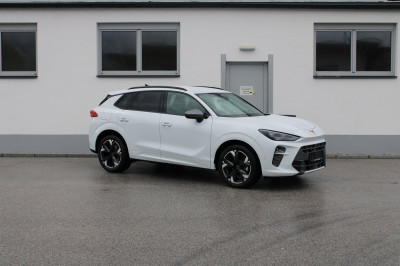 Cupra Terramar Gebrauchtwagen