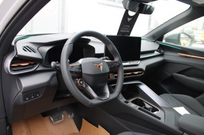 Cupra Terramar Gebrauchtwagen