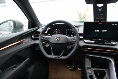 Cupra Terramar Gebrauchtwagen