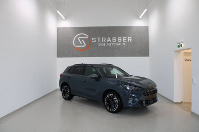 Cupra Terramar Gebrauchtwagen