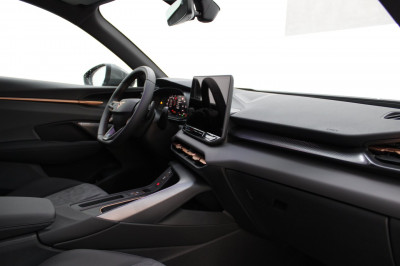 Cupra Terramar Gebrauchtwagen