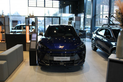 Cupra Terramar Gebrauchtwagen