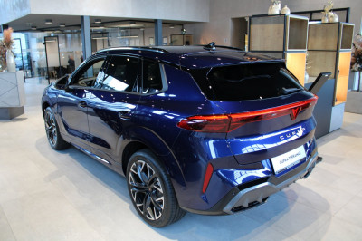 Cupra Terramar Gebrauchtwagen