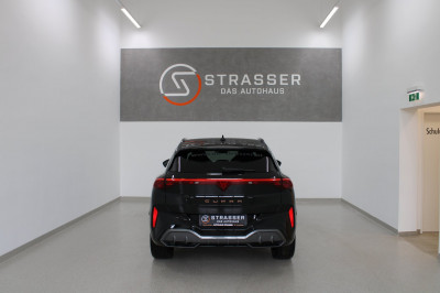 Cupra Terramar Gebrauchtwagen