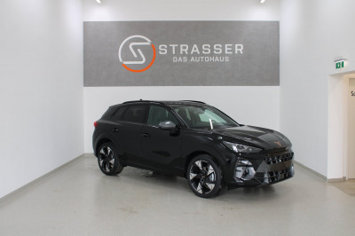 Cupra Terramar Gebrauchtwagen