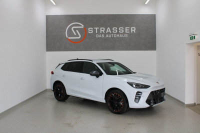 Cupra Terramar Gebrauchtwagen