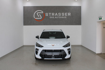 Cupra Terramar Gebrauchtwagen