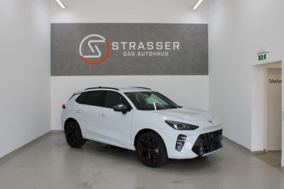 Cupra Terramar Gebrauchtwagen