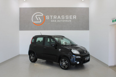 Fiat Panda Gebrauchtwagen Fiat Panda Gebrauchtwagen
