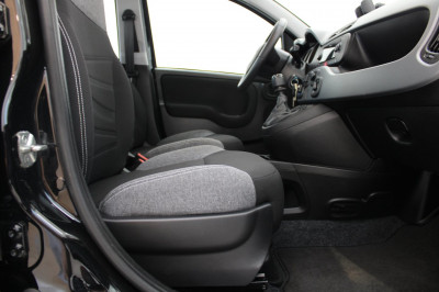 Fiat Panda Gebrauchtwagen Fiat Panda Gebrauchtwagen