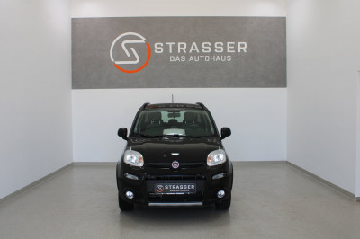 Fiat Panda Gebrauchtwagen Fiat Panda Gebrauchtwagen