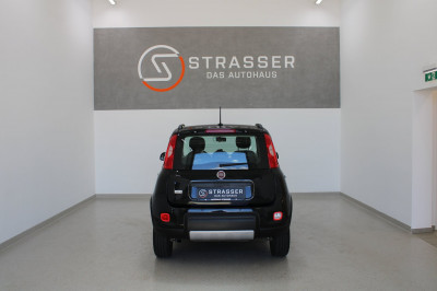 Fiat Panda Gebrauchtwagen Fiat Panda Gebrauchtwagen