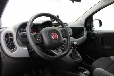 Fiat Panda Gebrauchtwagen Fiat Panda Gebrauchtwagen