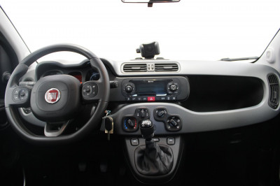 Fiat Panda Gebrauchtwagen Fiat Panda Gebrauchtwagen