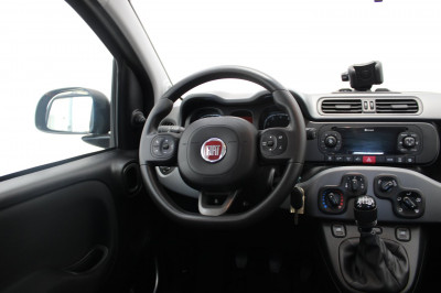 Fiat Panda Gebrauchtwagen Fiat Panda Gebrauchtwagen
