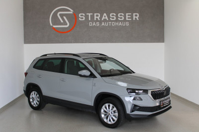 Skoda Karoq Gebrauchtwagen Skoda Karoq Gebrauchtwagen