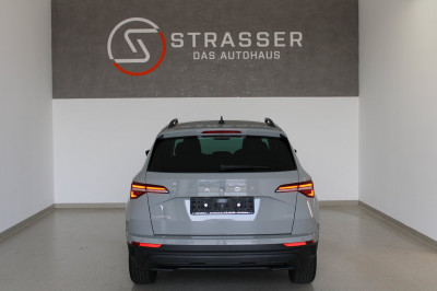 Skoda Karoq Gebrauchtwagen Skoda Karoq Gebrauchtwagen