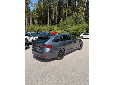 Skoda Octavia Gebrauchtwagen Skoda Octavia Gebrauchtwagen