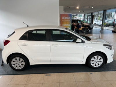 KIA Rio Gebrauchtwagen