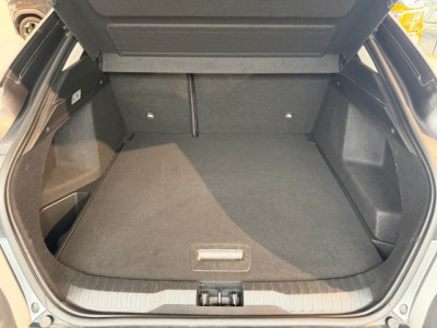 Renault Arkana Gebrauchtwagen