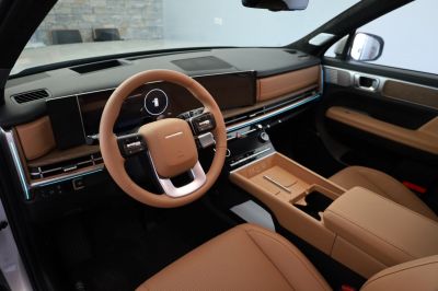 Hyundai Santa Fe Vorführwagen Hyundai Santa Fe Vorführwagen