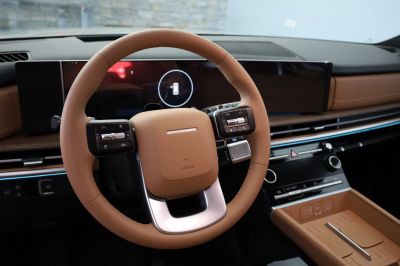 Hyundai Santa Fe Vorführwagen Hyundai Santa Fe Vorführwagen