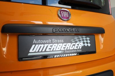 Fiat Panda Gebrauchtwagen Fiat Panda Gebrauchtwagen