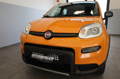 Fiat Panda Gebrauchtwagen Fiat Panda Gebrauchtwagen
