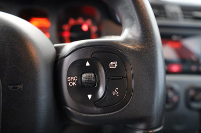 Fiat Panda Gebrauchtwagen Fiat Panda Gebrauchtwagen