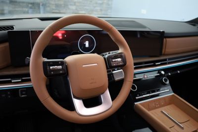 Hyundai Santa Fe Vorführwagen