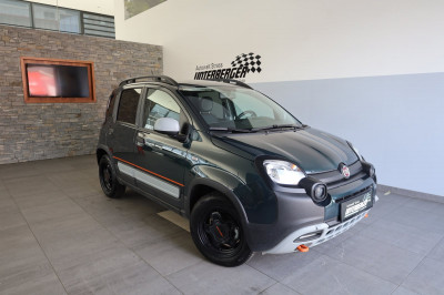 Fiat Panda Gebrauchtwagen