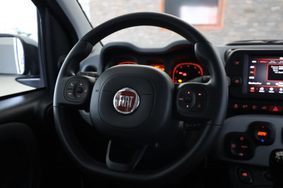 Fiat Panda Gebrauchtwagen