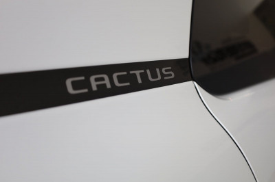 Citroën C4 Cactus Gebrauchtwagen