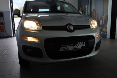 Fiat Panda Gebrauchtwagen Fiat Panda Gebrauchtwagen