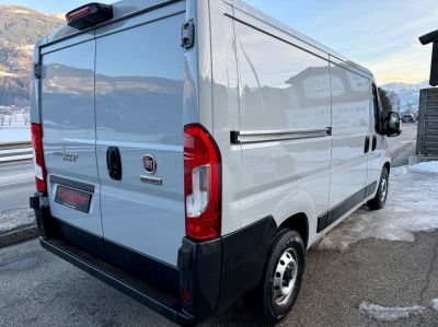 Fiat Ducato Gebrauchtwagen