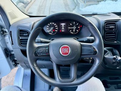 Fiat Ducato Gebrauchtwagen
