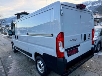 Fiat Ducato Gebrauchtwagen