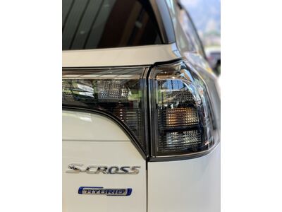 Suzuki S-Cross Tageszulassung