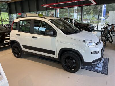 Fiat Panda Gebrauchtwagen