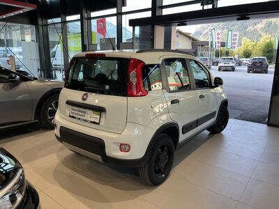 Fiat Panda Gebrauchtwagen