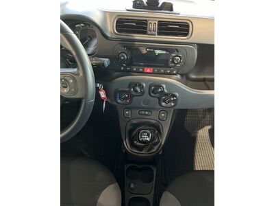 Fiat Panda Gebrauchtwagen