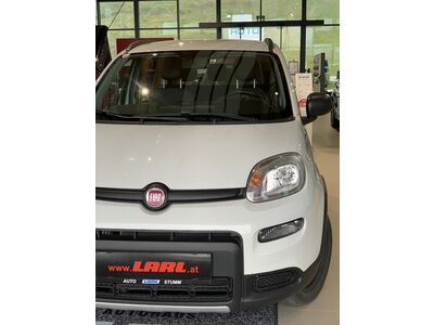 Fiat Panda Gebrauchtwagen