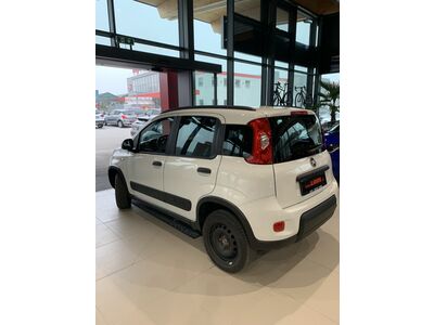 Fiat Panda Gebrauchtwagen