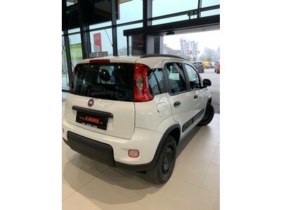 Fiat Panda Gebrauchtwagen